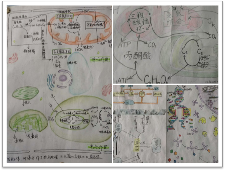 微信图片_20180416123321.png