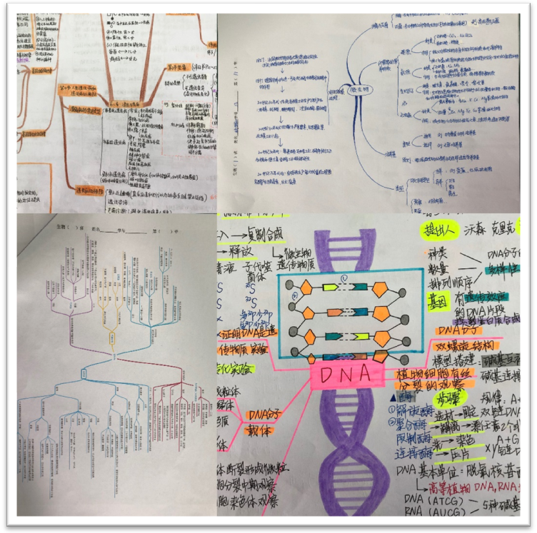 微信图片_20180416123337.png